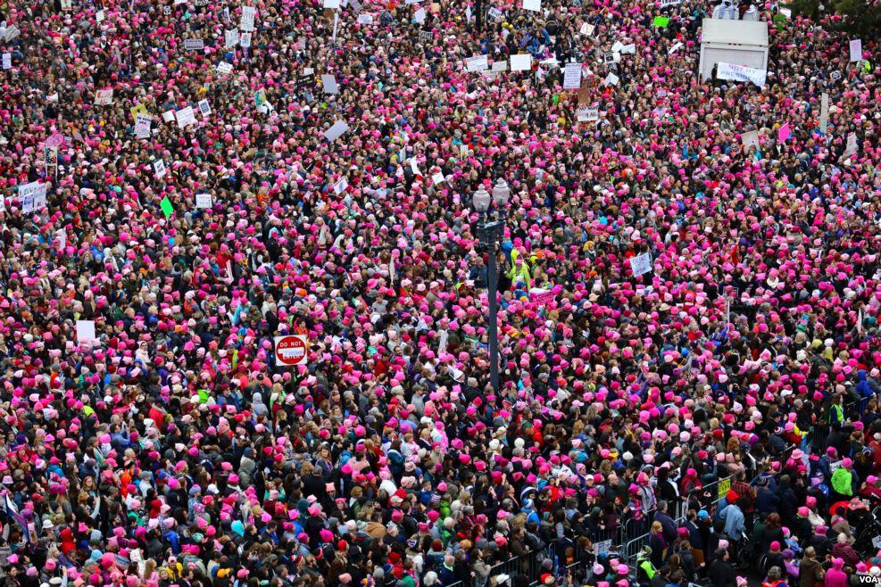 Op-Ed: The "Pussyhats" Isn't Just About Anatomy